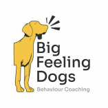 Big Feeling Dogs