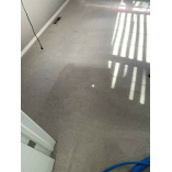 Maple Leaf cleaning carpet