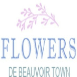 Flower Delivery De Beauvoir Town