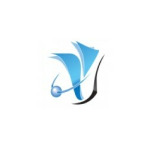 System Force I.T. Ltd