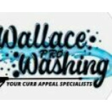 Wallace Pro Washing