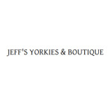 JEFFS YORKIES & BOUTIQUE