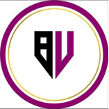 BizVibez Consultants