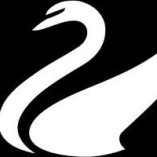Swan Management AG
