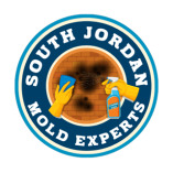 Mold Remediation South Jordan Experts