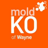 Mold KO of Wayne