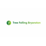 Tree Felling Bryanston