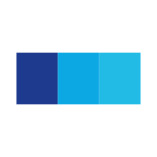 Blank Transport logo