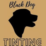 Black Dog Tinting and Paint Protection Film