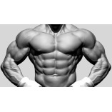 Best Legal Steroids For Muscle Building
