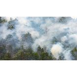 Mid-Michigan Smoke Damage Experts