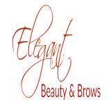 Elegant Beauty And Brows