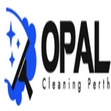 Opal Cleaning Perth