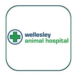 Wellesley Animal Hospital