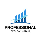 Professional SEO Consultant