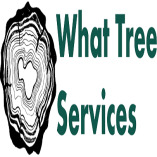 What Tree Services LLC