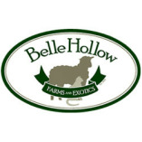 Belle Hollow Farms & Exotics