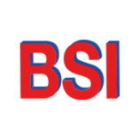 BSI Bildungs- und Schulungs-Institut gGmbH logo