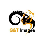 G&T IMAGES