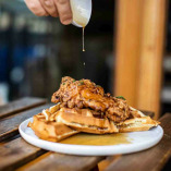 The Cellar San Clemente - The Cellar