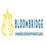 BloomBridge
