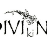 Tauchschule DivingViking