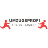 Umzugsprofi Theiss