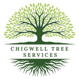 Chigwell Tree Services
