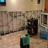 Mold Inspection & Testing Bronx NY