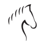Reitsportanlage Obereichet GmbH logo