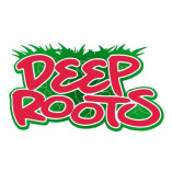 Deep Roots Lawn Care & Landscaping