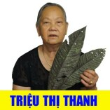 Triệu Thị Thanh