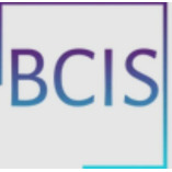 BC Investigative Services