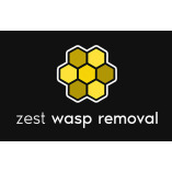 Zest Wasp Removal