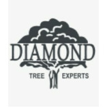 Diamond Tree Experts