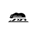 California Flat Roofs