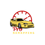 Pro Remapping