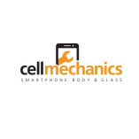 Cell Mechanics