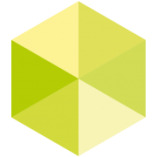 DIVIS - Deutsche Industrie Video System GmbH logo