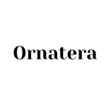 Ornatera Pillow