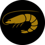 B'HAVEN logo