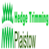 Hedge Trimming Plaistow