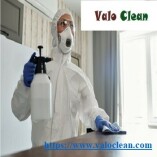 Professional Cleaning Services