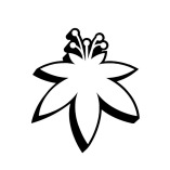 The Flowery Hollywood