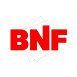 BNF Roofing (Orem, UT)
