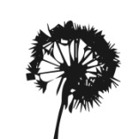 Reparatur-Café Zella-Mehlis logo