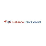 Reliance Pest Control Brisbane