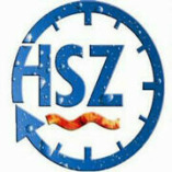 Heizungs-Service Michael Zierau GmbH logo
