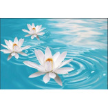 Happy Life Counselling