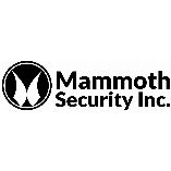 Mammoth Security Inc. New Britain